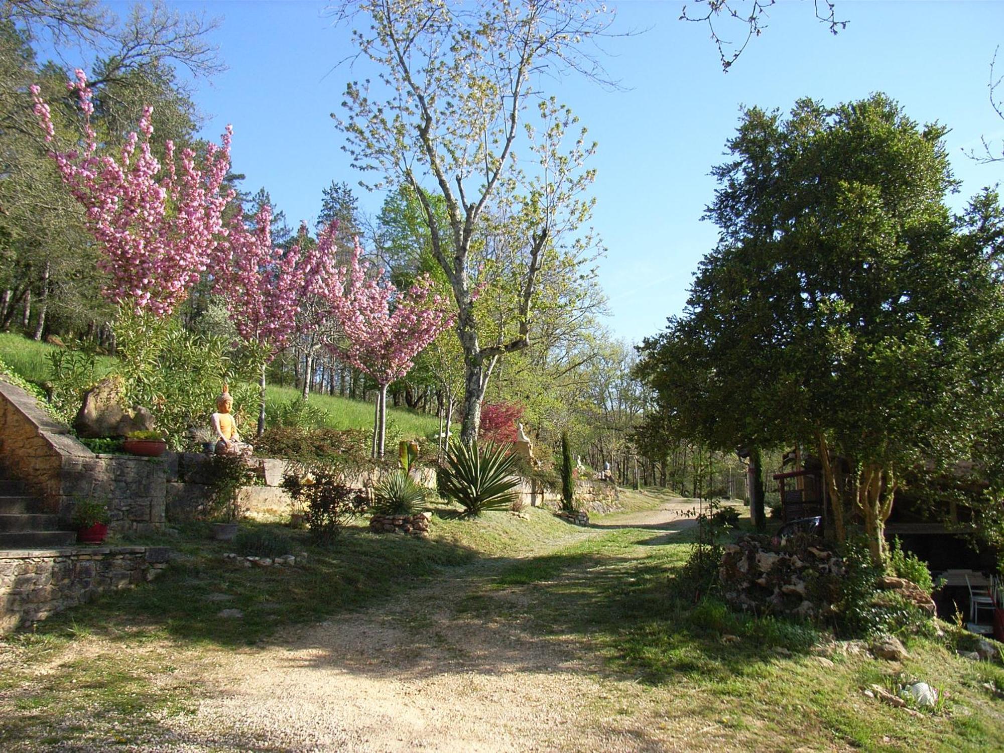 Studio Aux Eyzies Au Coeur De La Vallee De L'Homme Les Eyzies Exterior foto
