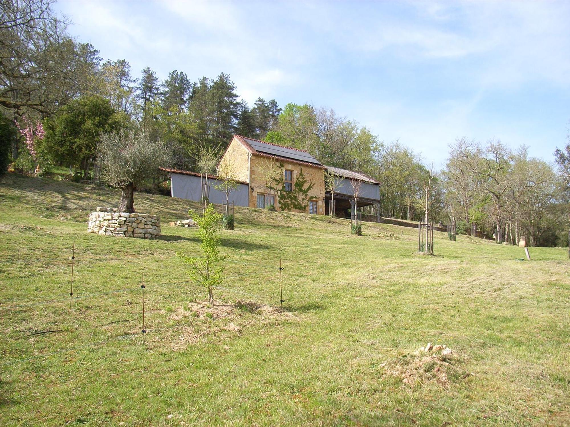 Studio Aux Eyzies Au Coeur De La Vallee De L'Homme Les Eyzies Exterior foto